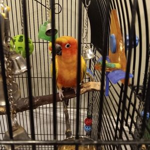 Meet your Posher, Jill